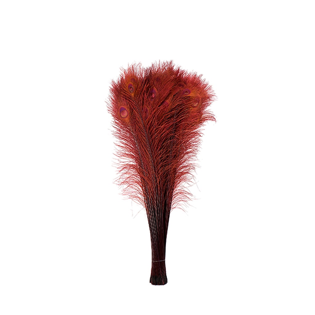 Peacock Tail Eyes Bleached Dyed - 25-40 Inch - 100 PCS - Burgundy