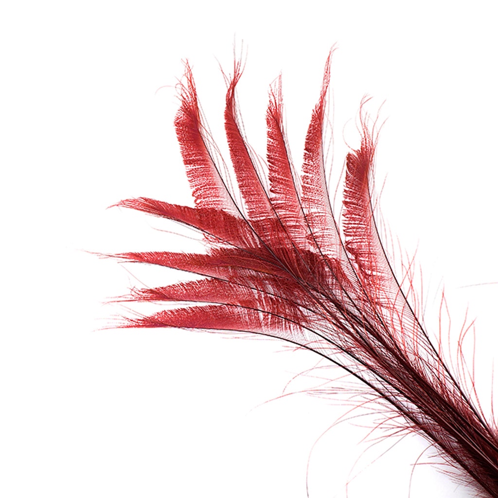 Peacock Swords Bleached/Dyed - Burgundy