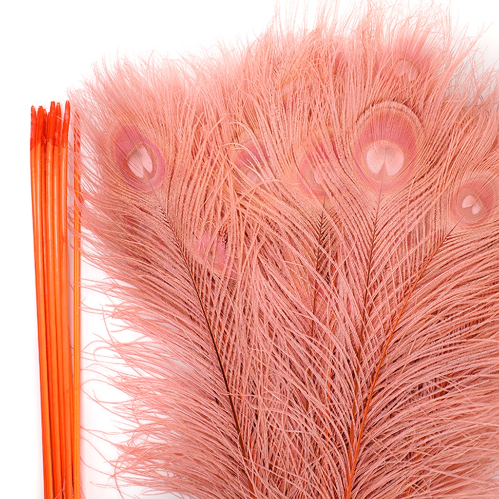 Peacock Eyes Bleached/Dyed - Coral 30-40" - 10 PC