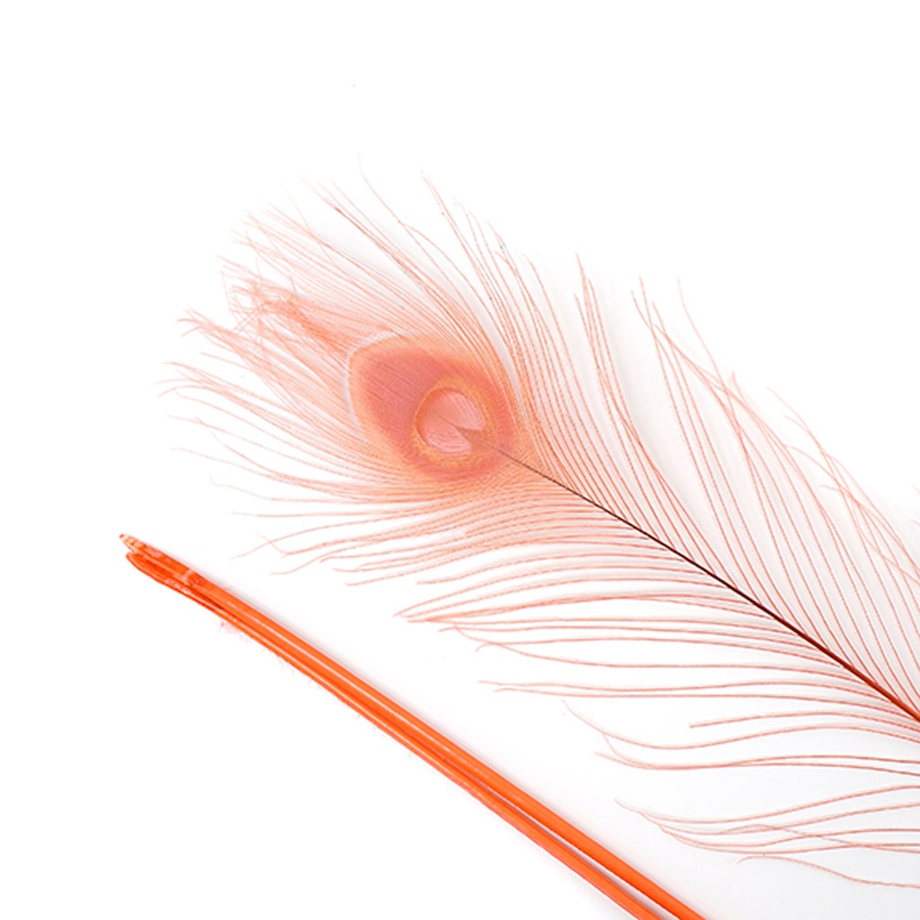 Peacock Eyes Bleached/Dyed - Coral 30-40" - 10 PC
