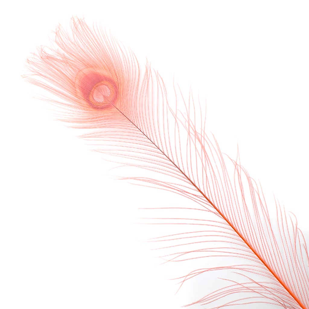 Peacock Eyes Bleached/Dyed - Coral 30-40" - 10 PC