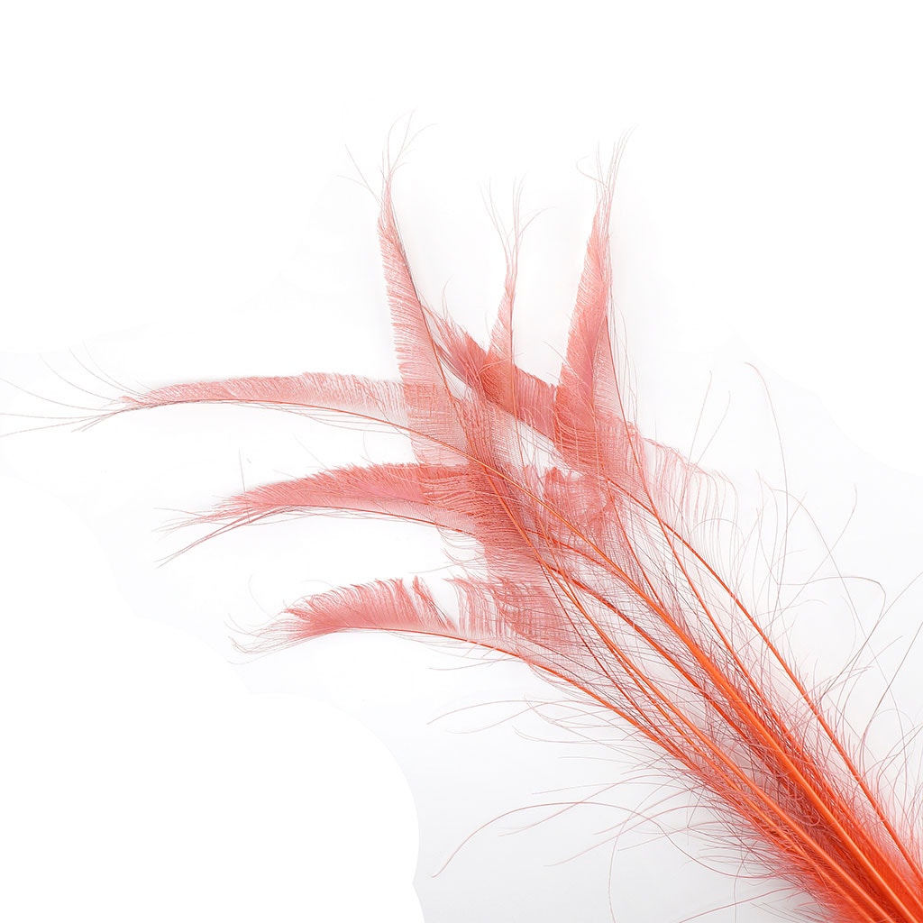 Peacock Swords Bleached Dyed - Coral