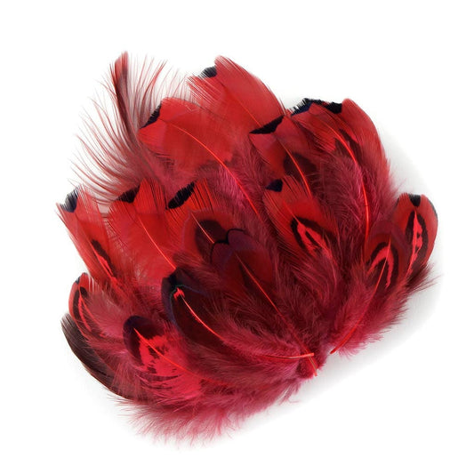 Heart Pheasant Plumage Dyed - Coral