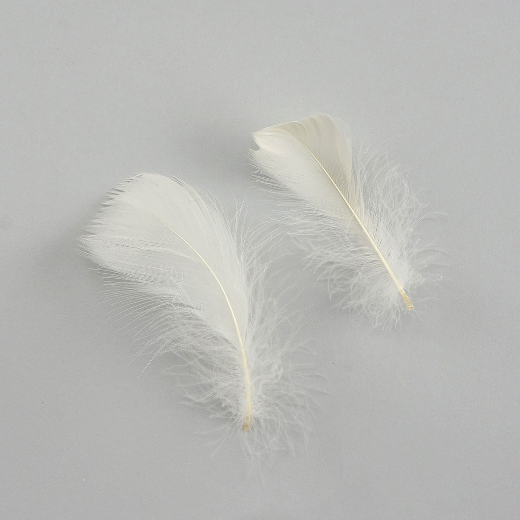 Eggshell Loose Goose Coquille Feathers 3-5 inch