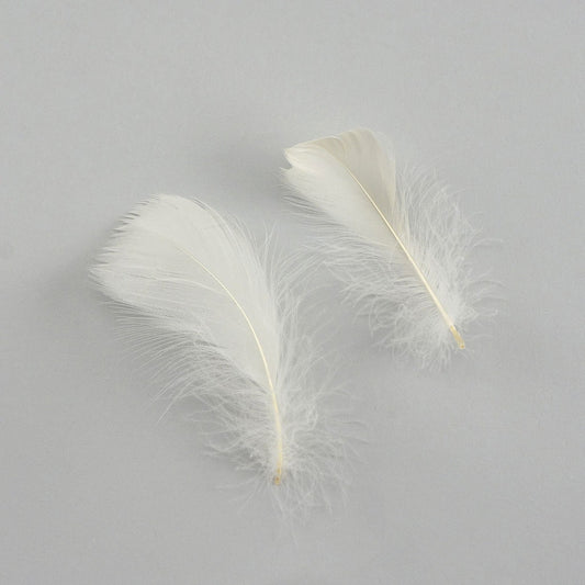 Eggshell Loose Goose Coquille Feathers 3-5 inch