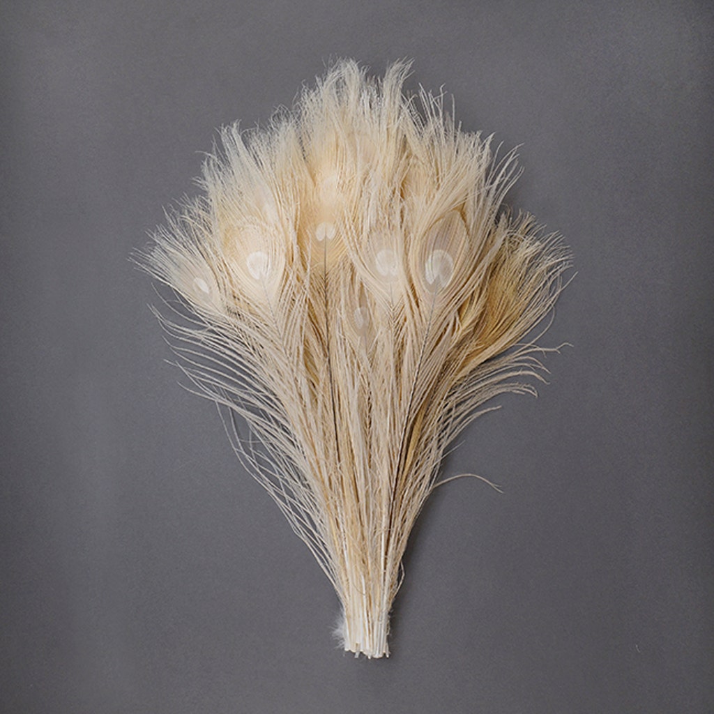 Peacock Tail Eyes Bleached and Dyed - 8-15” - 100 pc - Eggshell