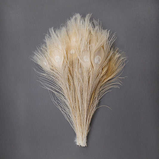 Peacock Tail Eyes Bleached and Dyed - 8-15” - 100 pc - Eggshell