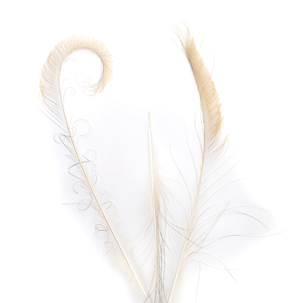 Peacock Swords Bleach Dyed - Eggshell