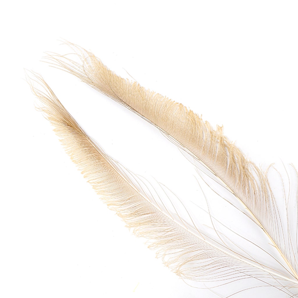 Peacock Swords Bleached Dyed - Eggshell