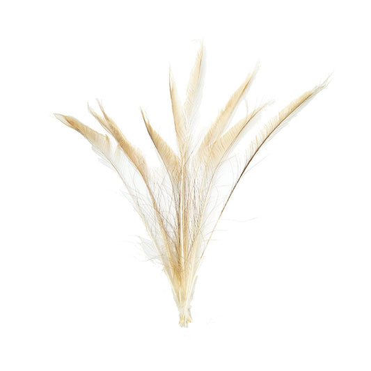 Peacock Swords Bleached/Dyed - Eggshell