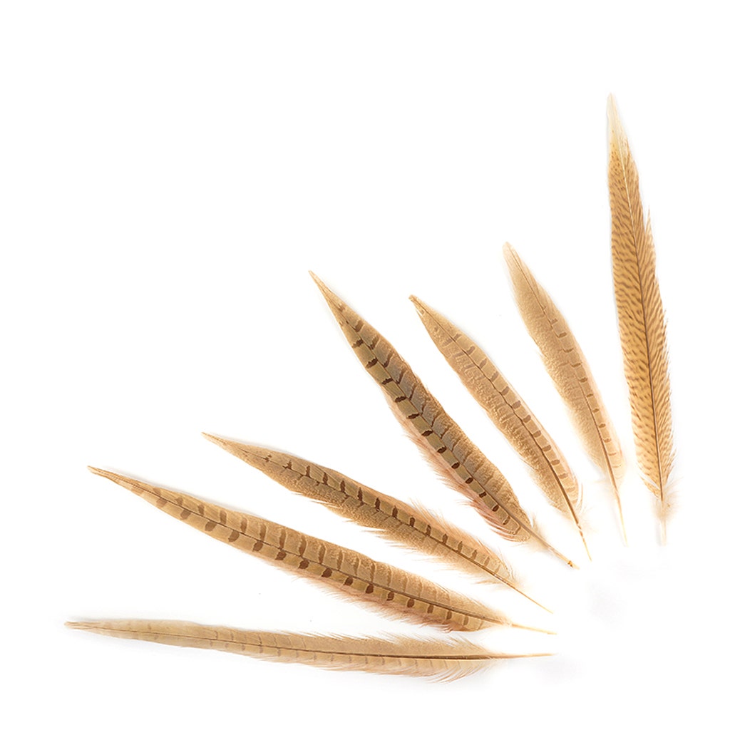 Assorted Pheasant Tails Dyed - Eggshell