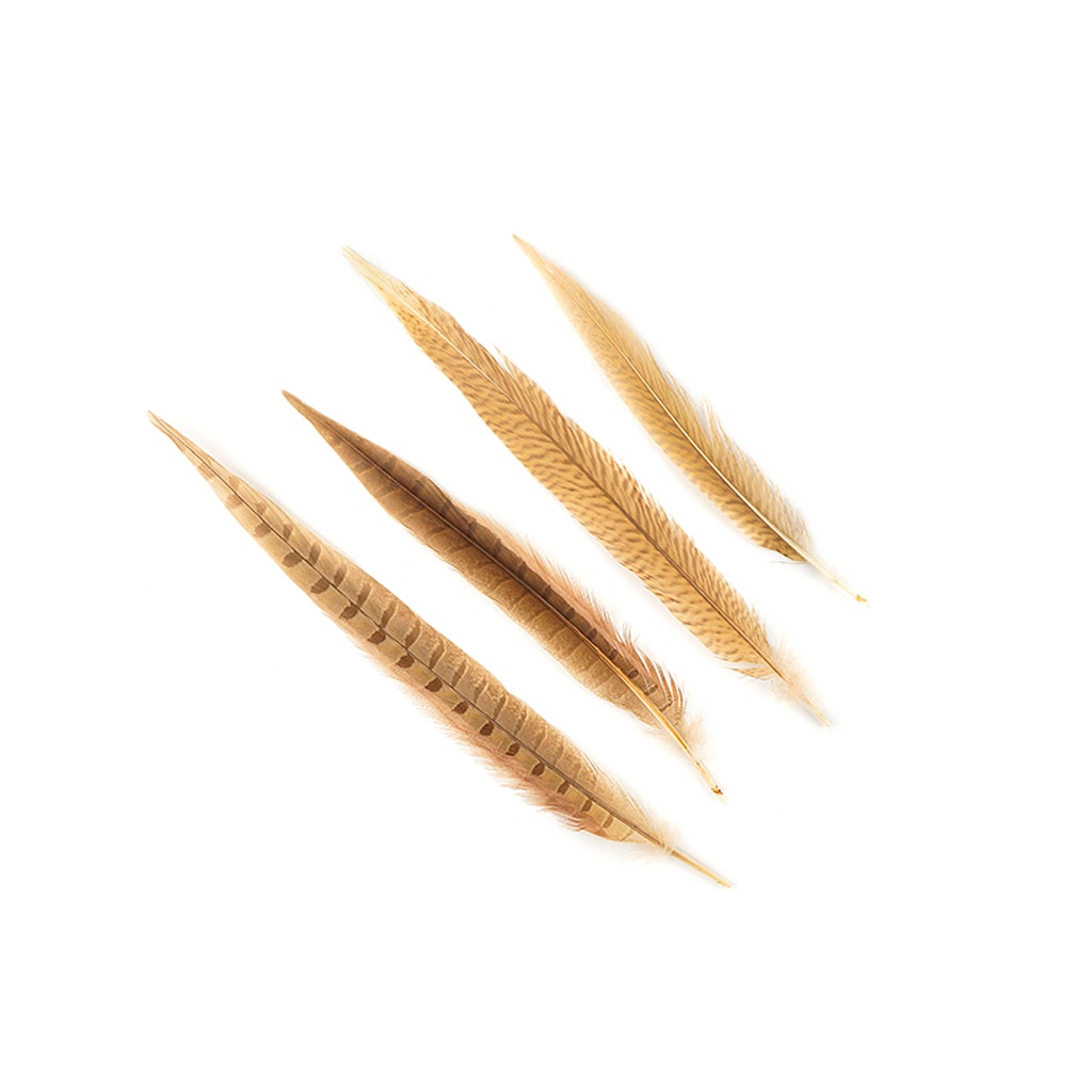 Assorted Pheasant Tails Dyed - Eggshell