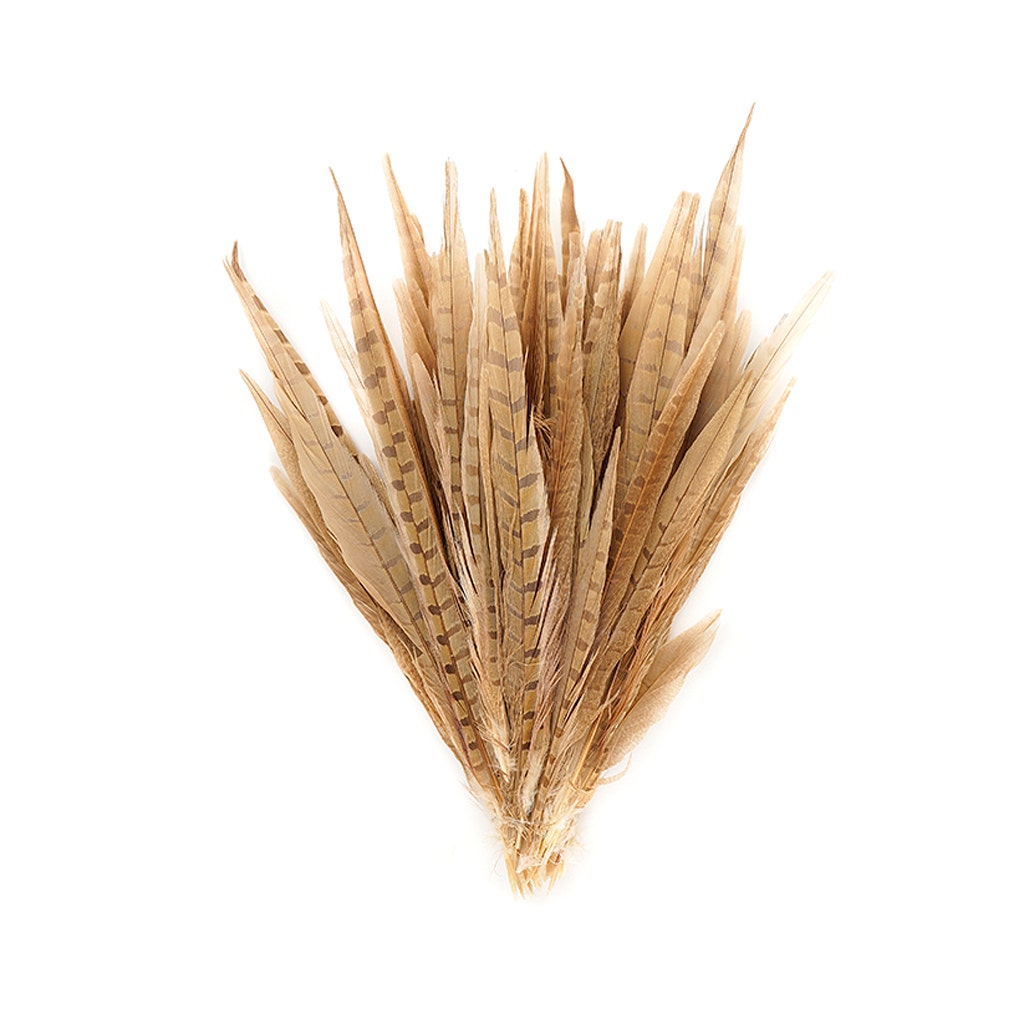 Assorted Pheasant Tails Dyed - Eggshell