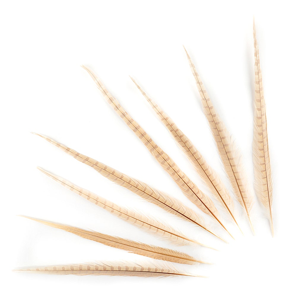 Assorted Pheasant Tails Dyed - Eggshell - 14 -18"