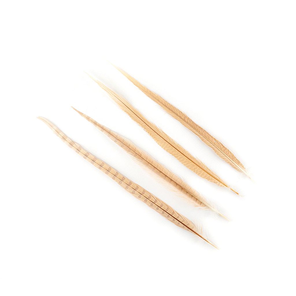 Assorted Pheasant Tails Dyed - Eggshell - 14 -18"