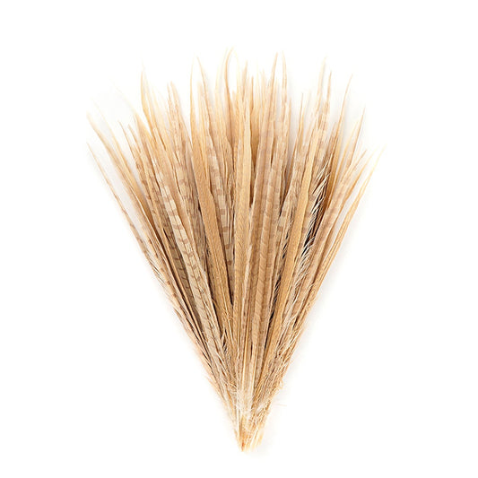 Assorted Pheasant Tails Dyed - Eggshell - 14 -18"