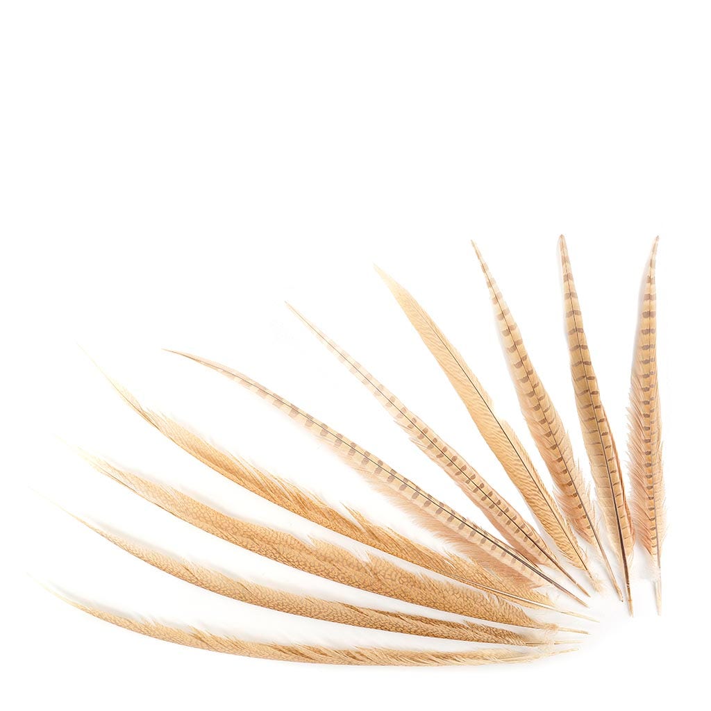 Assorted Pheasant Tails Dyed - Eggshell