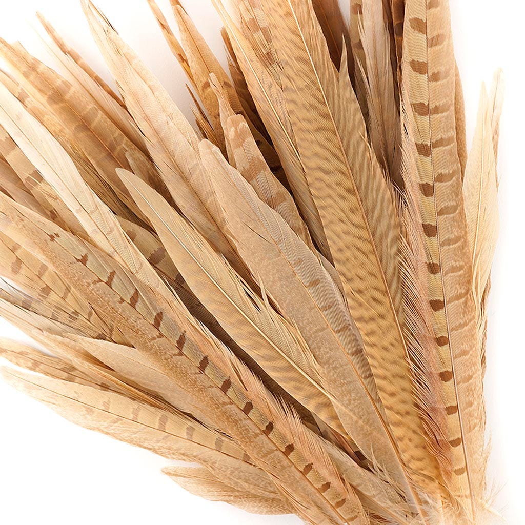 Pheasant Tails Assorted Bleached - Eggshell
