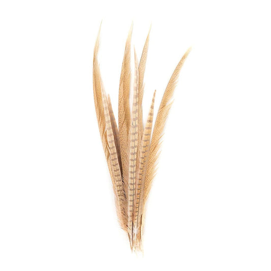 Pheasant Tails Assorted Bleached - Eggshell