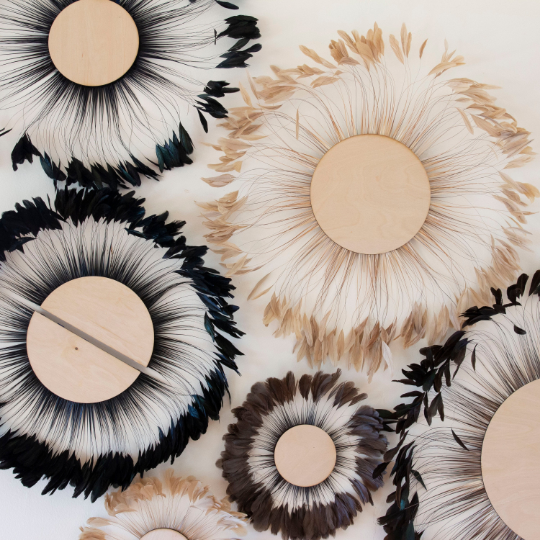 Black Feather Wall Art