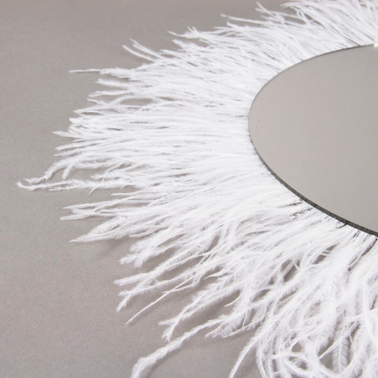 White Ostrich Feather Mirror Wall Art