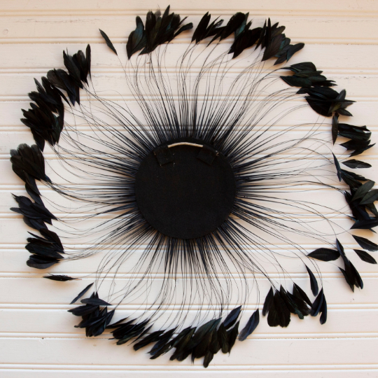 Black Stripped Rooster Coque Tails Feather Wall Art