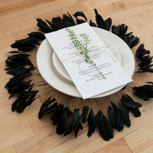 Black Stripped Rooster Coque Tails Feather Wall Art
