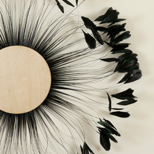 Black Stripped Rooster Coque Tails Feather Wall Art