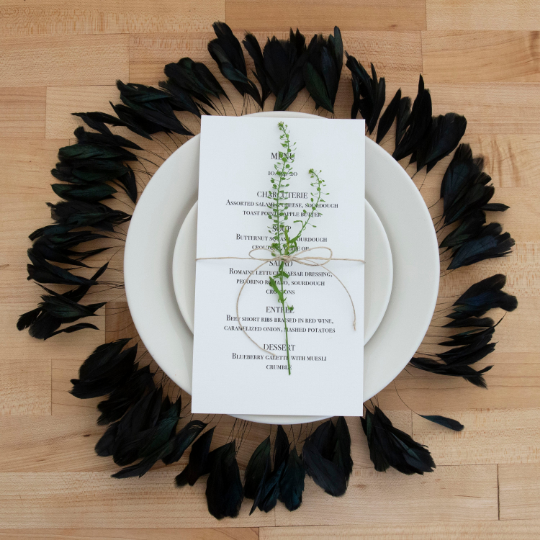 Black Stripped Rooster Coque Tails Feather Wall Art