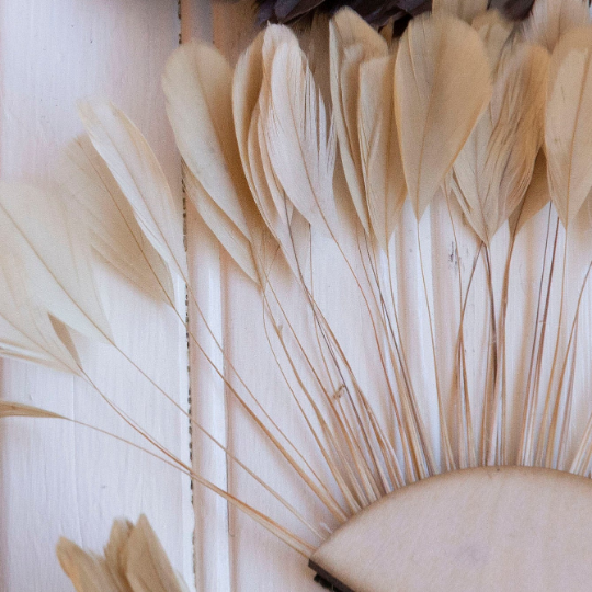 Small half moon Beige Feather Wall Art Set