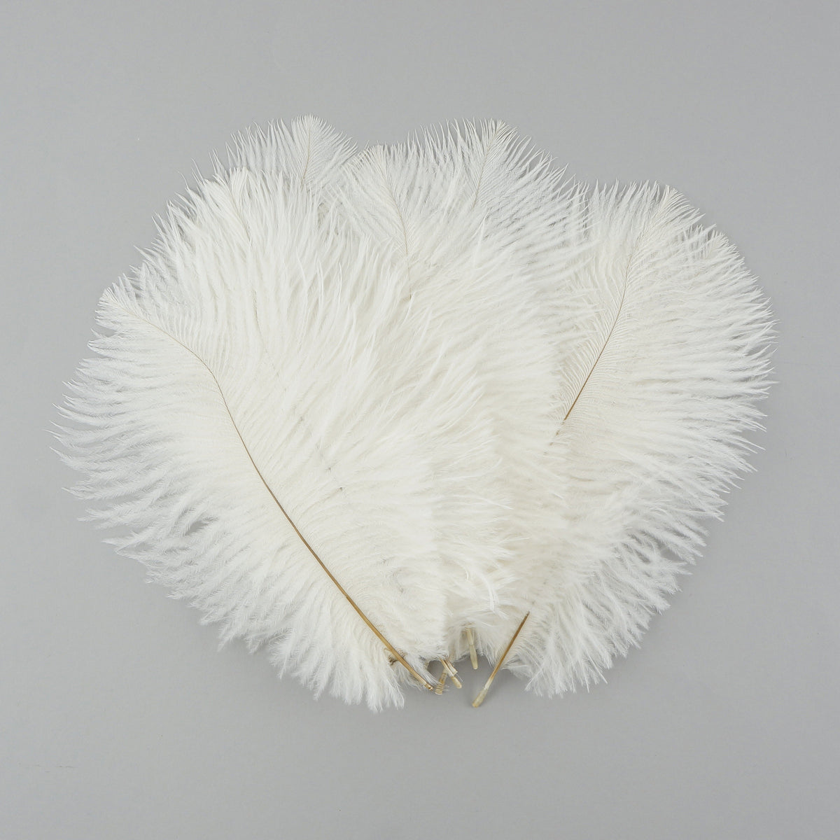 Bulk Feather Ostrich Drabs - 4-8" 1/4 lb White
