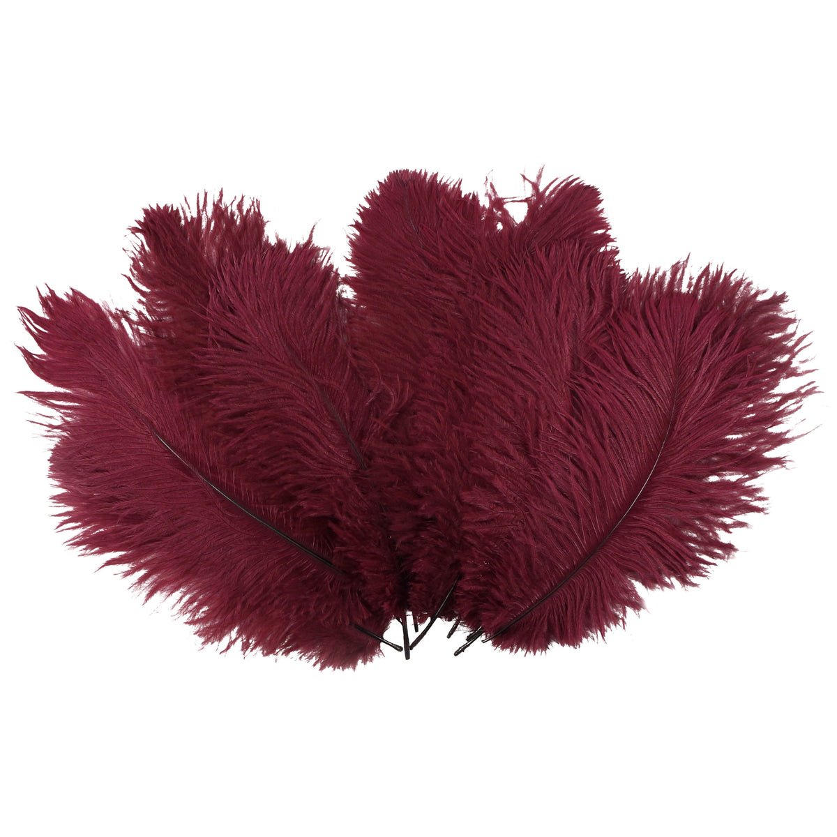 Ostrich Feather-Drabs-9-12"-12 pcs Burgundy