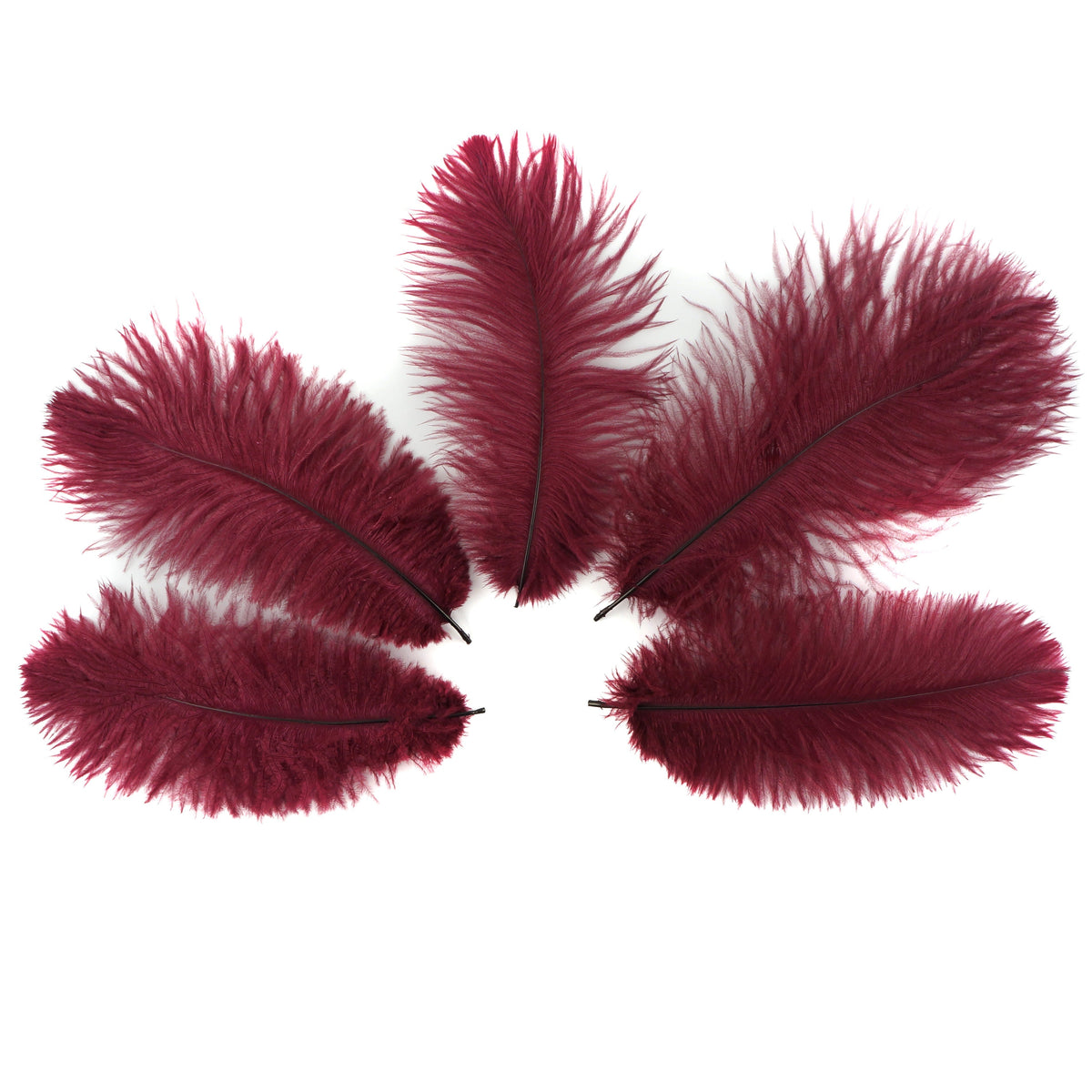 Ostrich Feather-Drabs-9-12"-12 pcs Burgundy