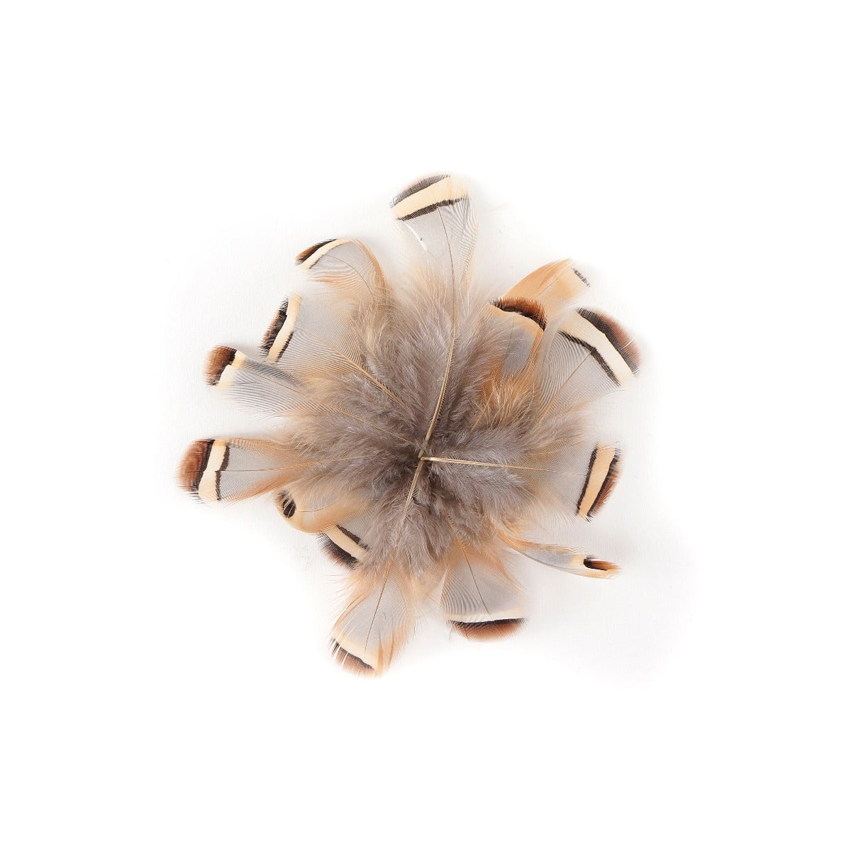 PARTRIDGE PLUMAGE LOOSE 1-25." .10 OZ NATURAL