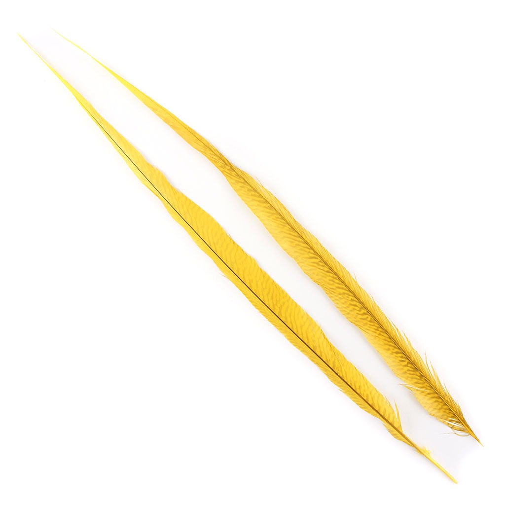 BGP30B Golden Pheasant Tails 25-30" Bleached & Dyed (3 Pieces Per Package) Gold