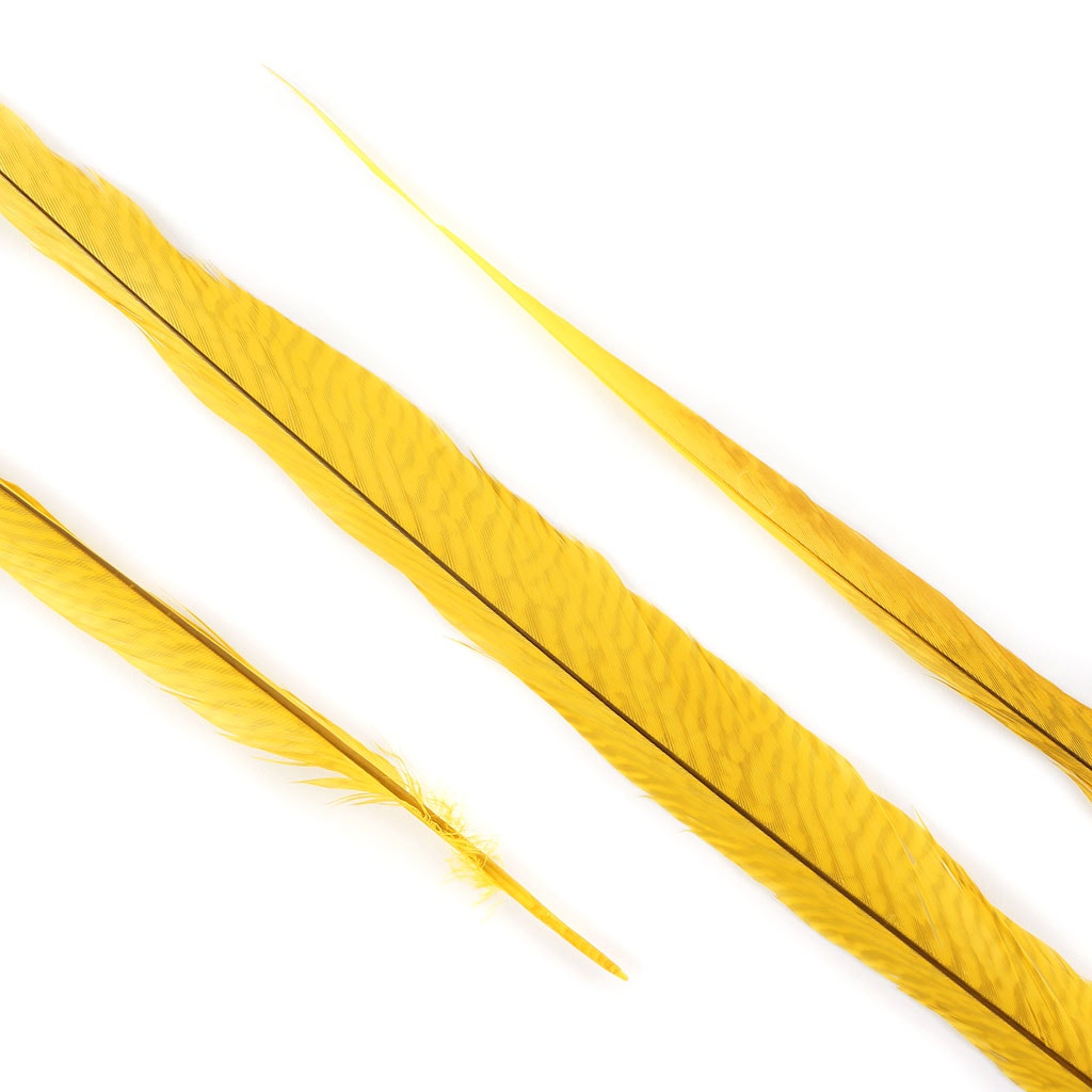 BGP30B Golden Pheasant Tails 25-30" Bleached & Dyed (3 Pieces Per Package) Gold