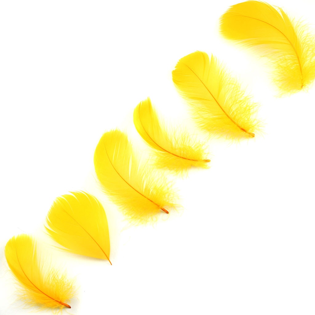 Gold Loose Goose Coquille Feathers 3-5 inch
