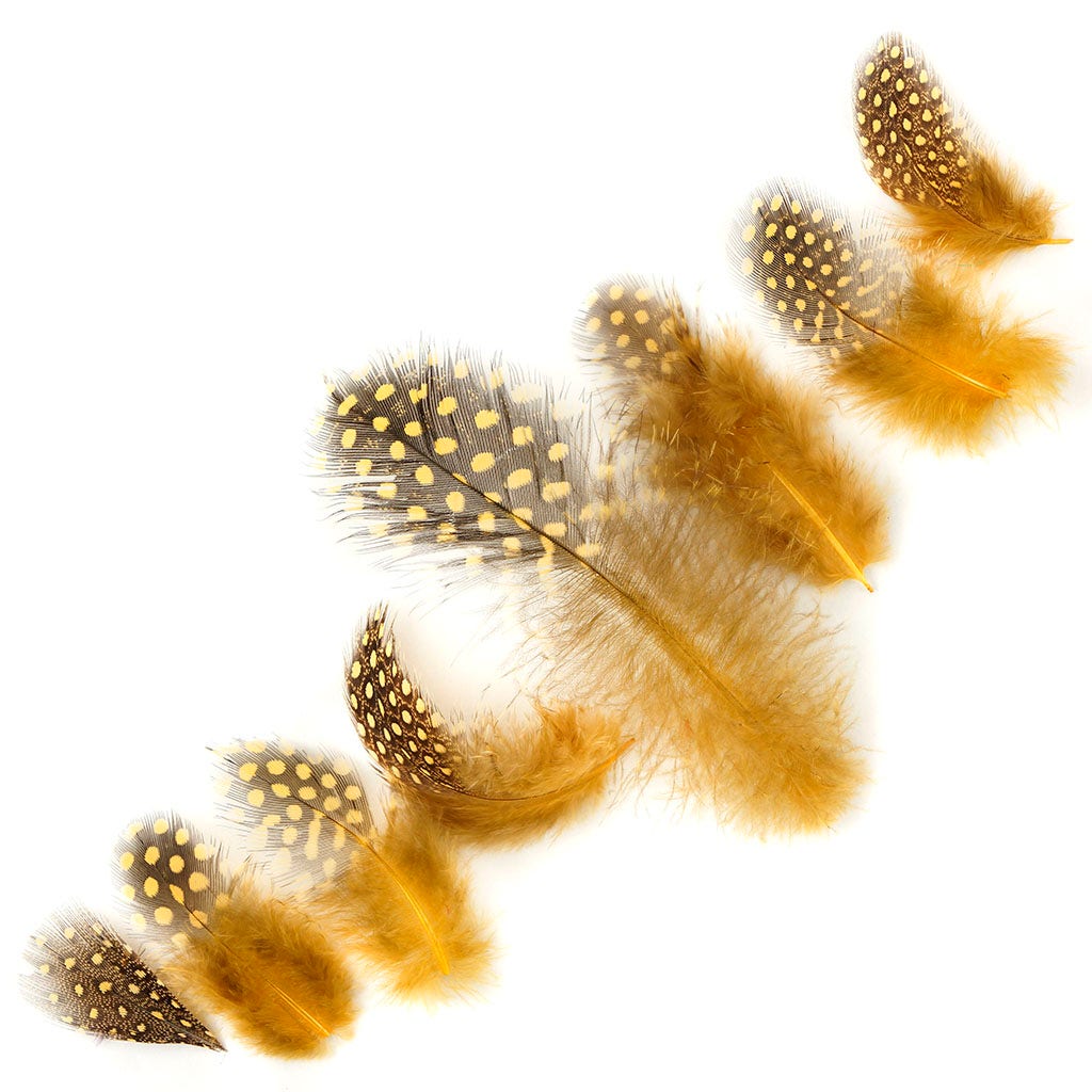 Loose Guinea Plumage Natural - Gold