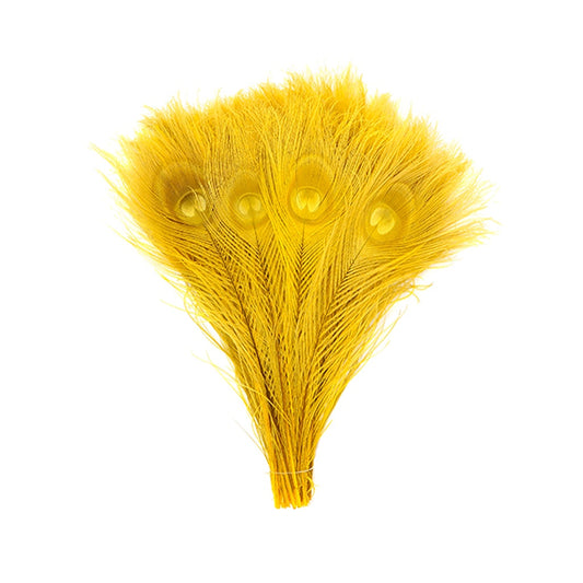 Peacock Tail Eyes Bleached and Dyed - 8-15” - 100 pc - Gold