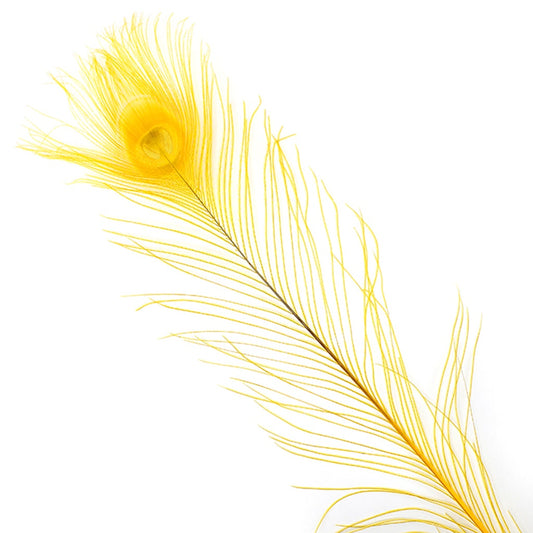 Peacock Eyes Bleached/Dyed - Gold Feathers 30-40" - 10 PC