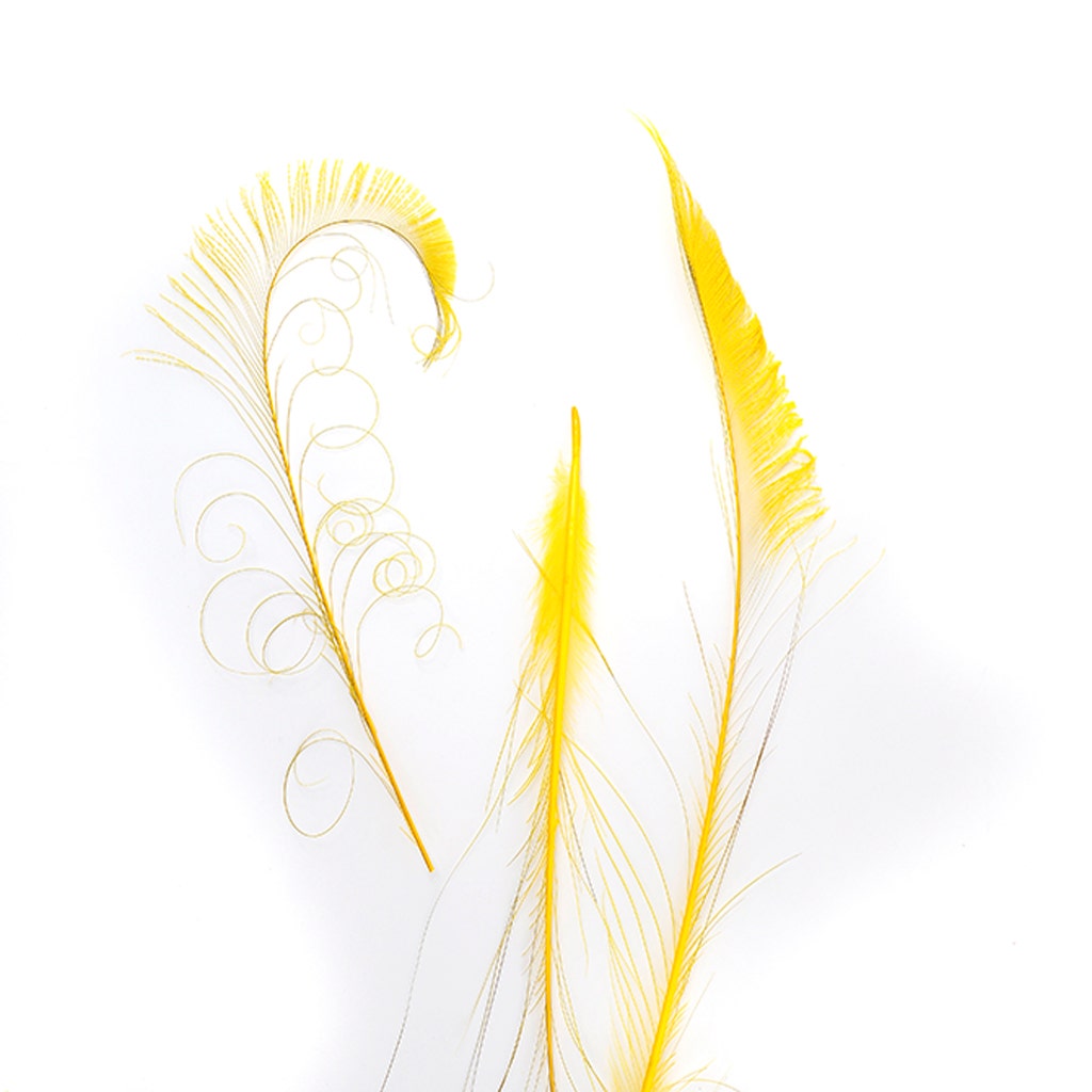 Peacock Swords Bleached Dyed - Gold