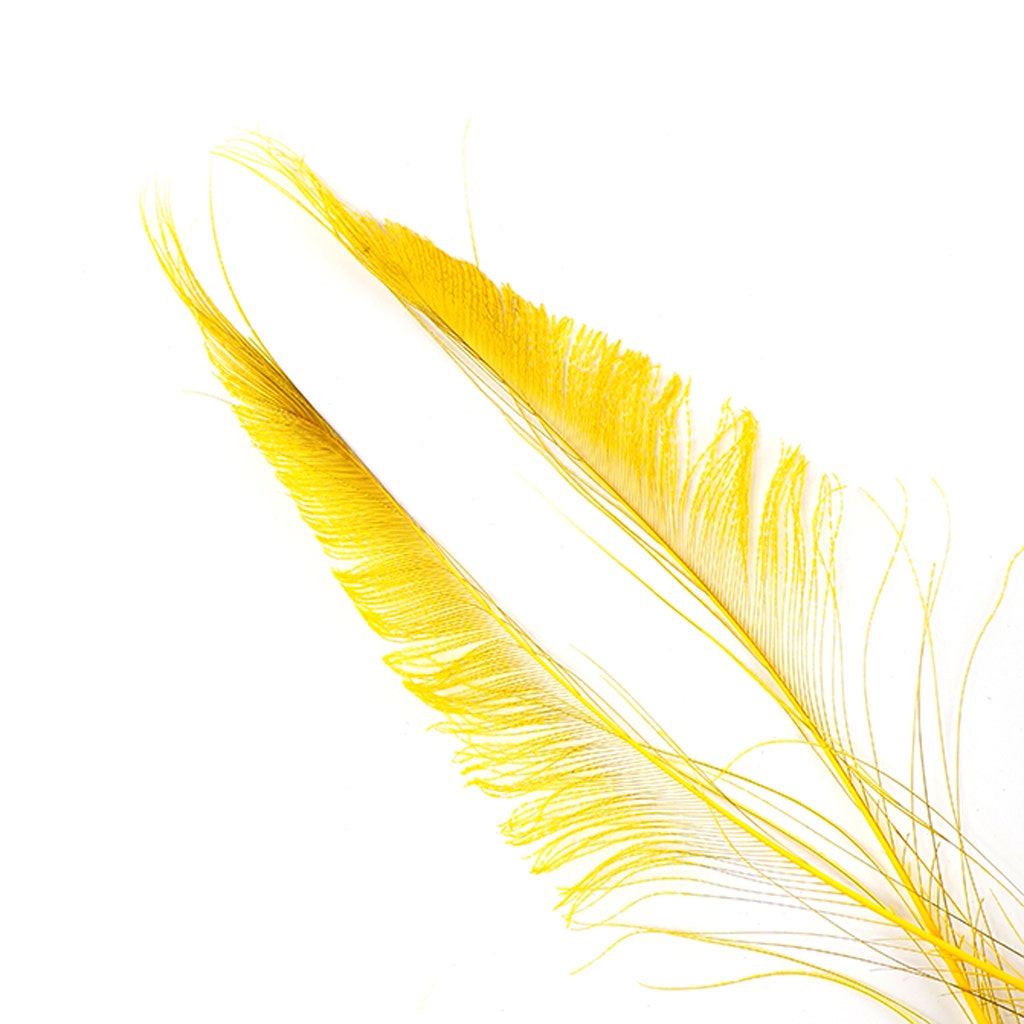 Peacock Swords Bleached Dyed - Gold