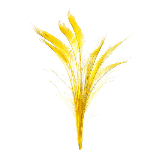 Peacock Swords Bleached/Dyed - Gold