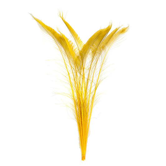 Peacock Swords Bleached/Dyed - Gold