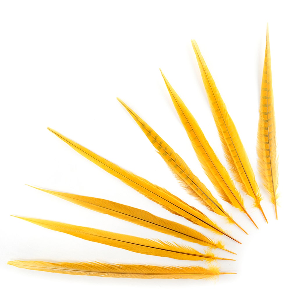 Assorted Pheasant Tails Dyed - Gold