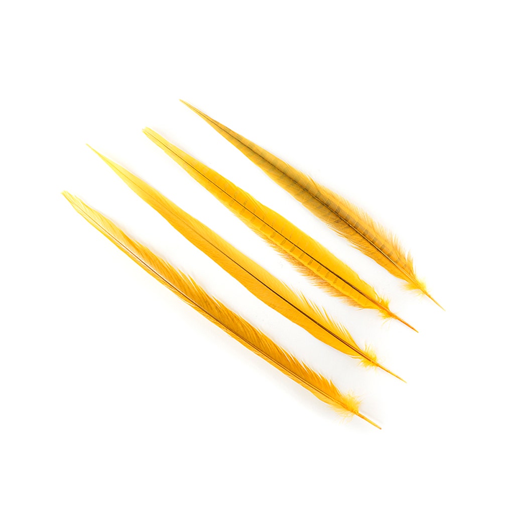Assorted Pheasant Tails Dyed - Gold