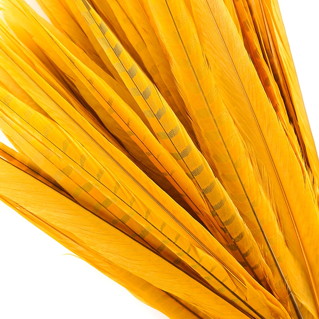 Assorted Pheasant Tails Dyed - Gold