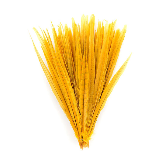 Assorted Pheasant Tails Dyed - Gold