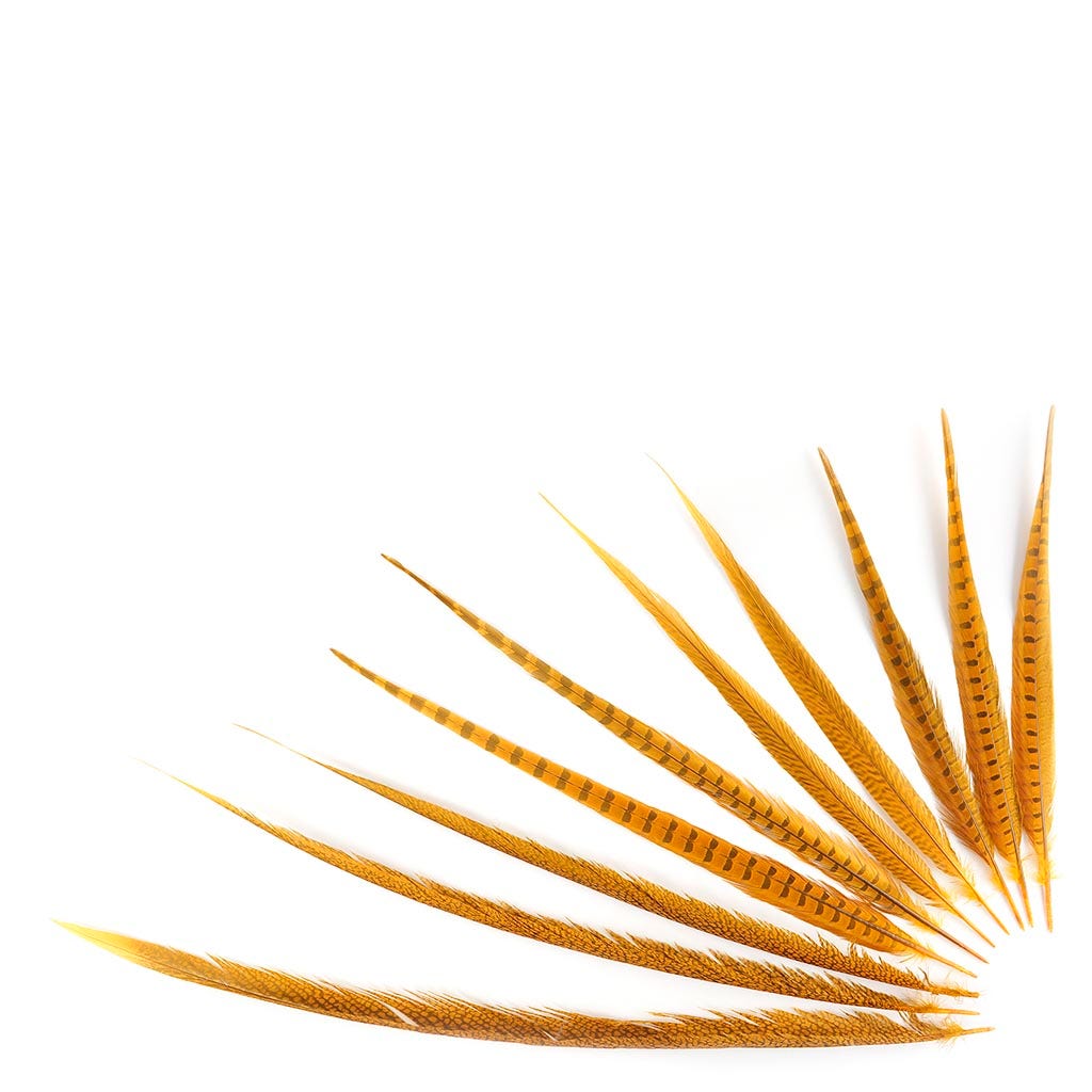 Assorted Pheasant Tails Dyed - Gold