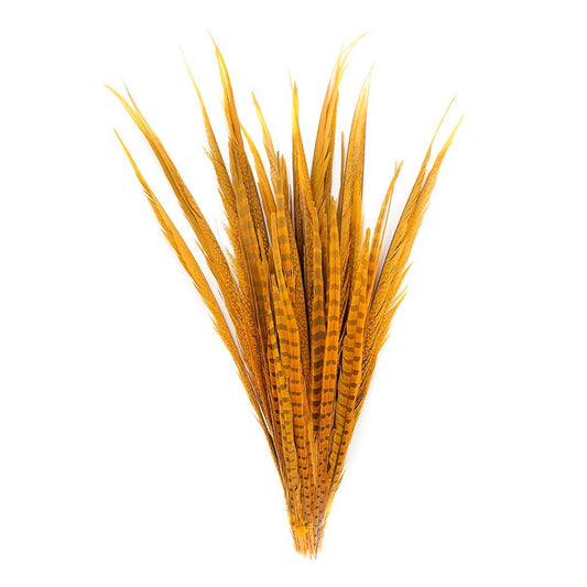 Assorted Pheasant Tails Dyed - Gold